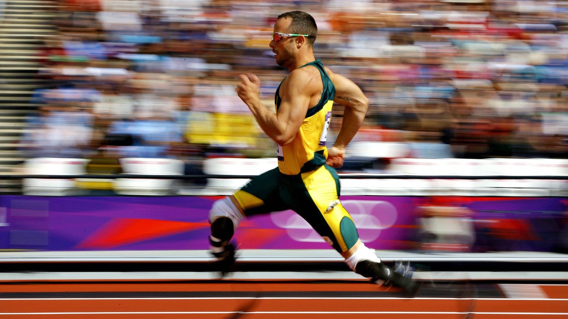 体育赛事观众增长统计